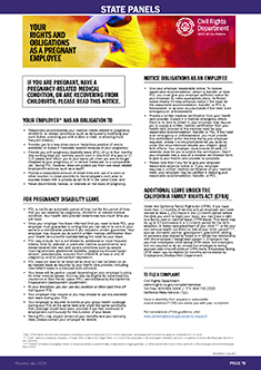 Your Rights and Obligations as a Pregnant Employee